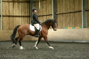 Isis Dressage Crown Farm Show 29th April 2012